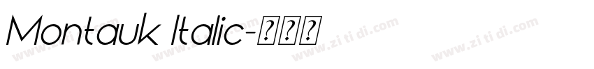 Montauk Italic字体转换
